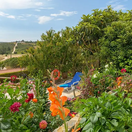Bela Casa Na Costa Vicentina Aljezur